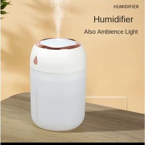 Portable Mini Humidifier
